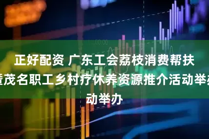 正好配资 广东工会荔枝消费帮扶暨茂名职工乡村疗休养资源推介活动举办