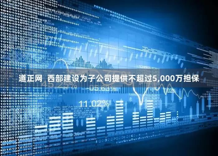 道正网  西部建设为子公司提供不超过5,000万担保