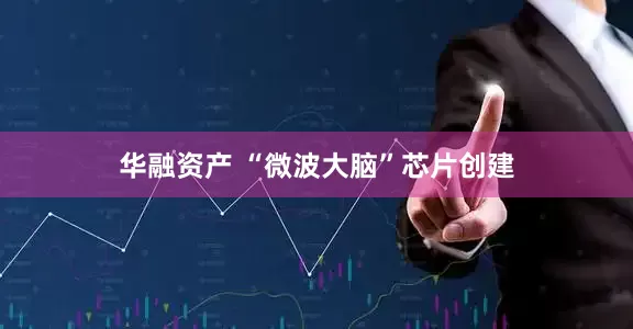 华融资产 “微波大脑”芯片创建