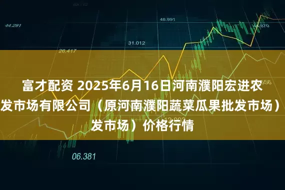 富才配资 2025年6月16日河南濮阳宏进农副产品批发市场有限公司（原河南濮阳蔬菜瓜果批发市场）价格行情